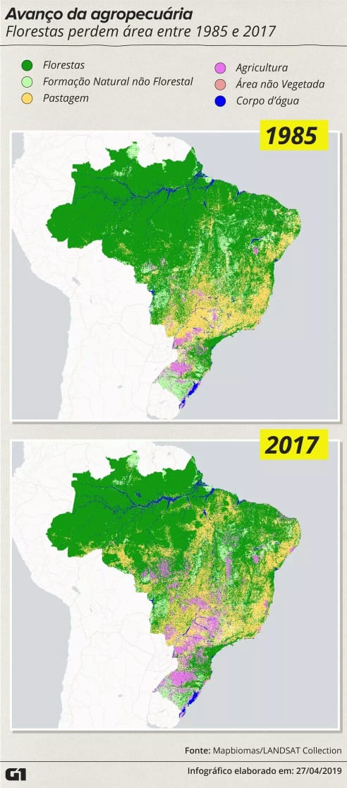 Amazônia Perdeu 18 Da área De Floresta Em Três Décadas Mostra Análise Acre Notícias 3601