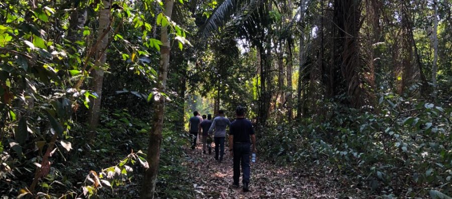 Pesquisadores da Ufac fazem estudo na Resex Chico Mendes