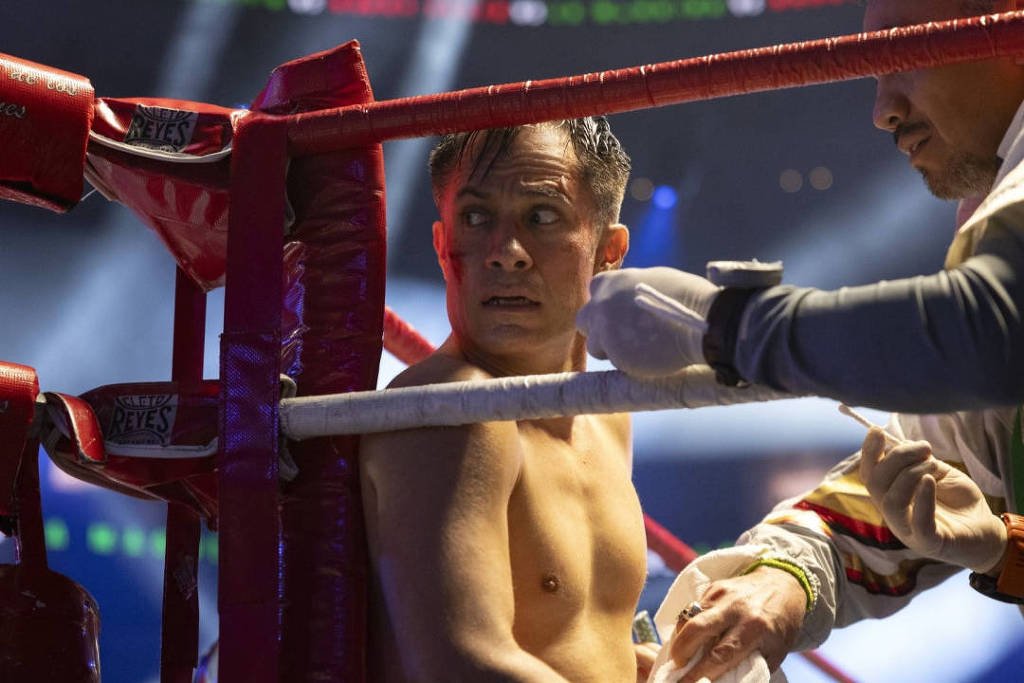 'A Máquina': Gael García Bernal treinou boxe por dez anos - 10/10/2024 - Cinema e Séries