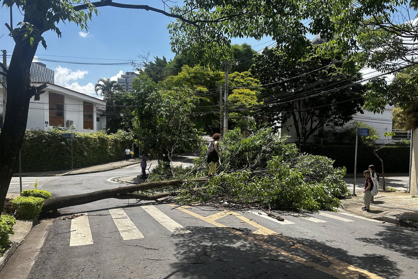 Apagão chega ao 3º dia com 537 mil imóveis sem luz em SP - 14/10/2024 - Cotidiano