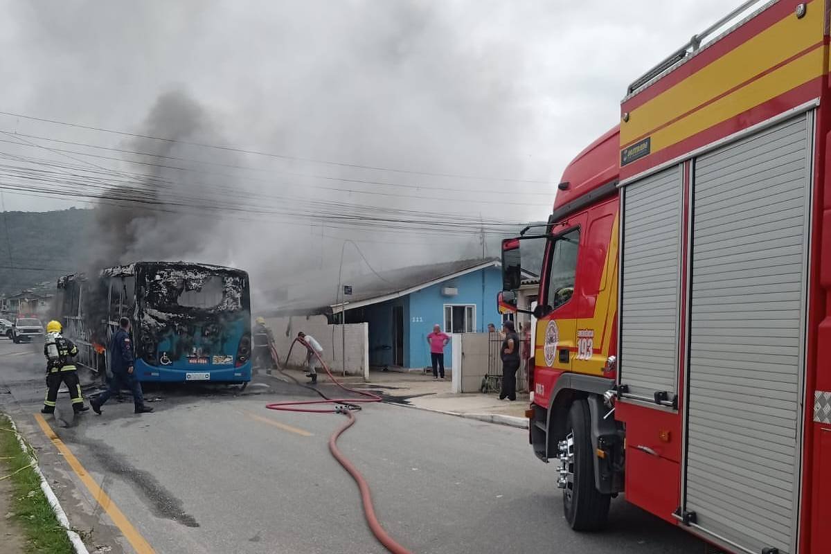 Incêndios na Grande Florianópolis terminam com 12 presos - 19/10/2024 - Cotidiano