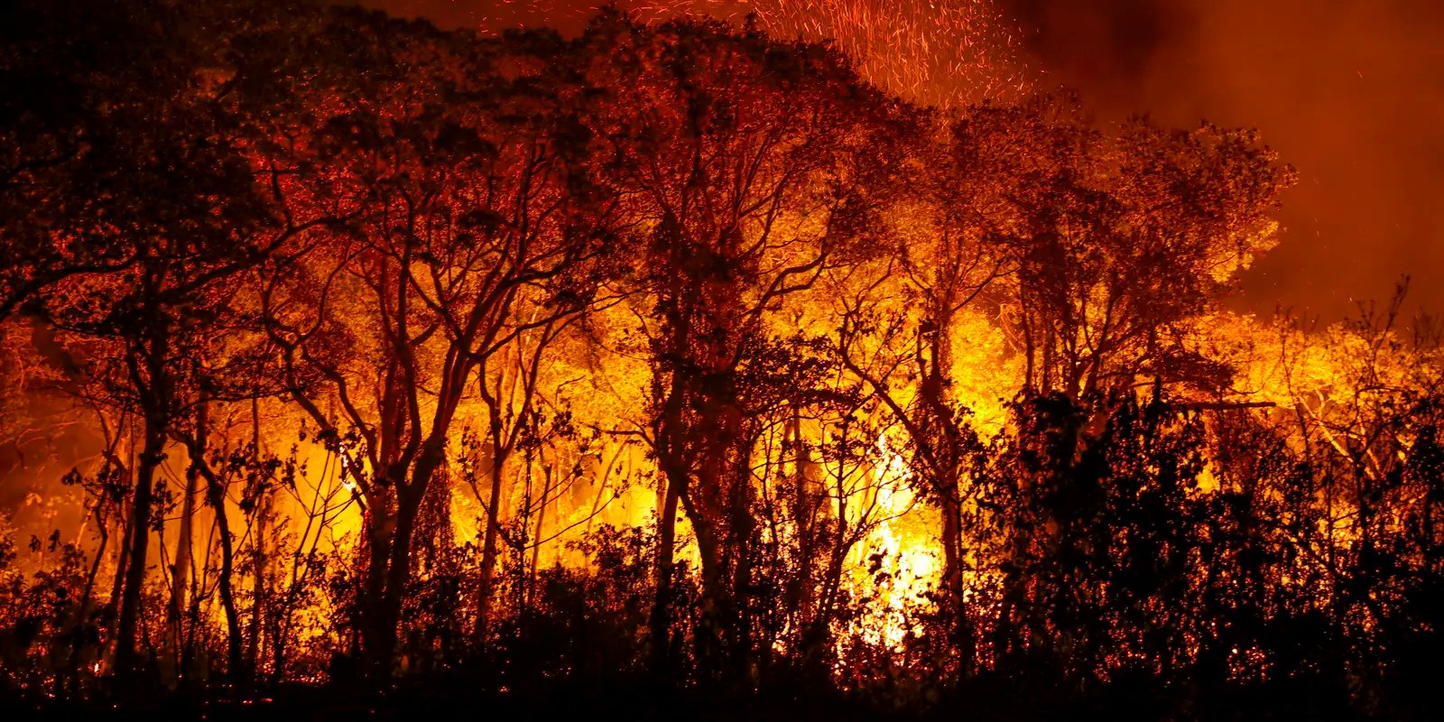 PF investiga incêndios criminosos no Pantanal