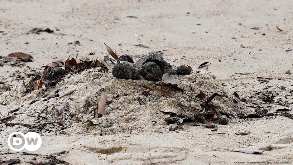 Praias de Sydney fechadas por causa de ‘misteriosas’ bolas pretas – DW – 16/10/2024
