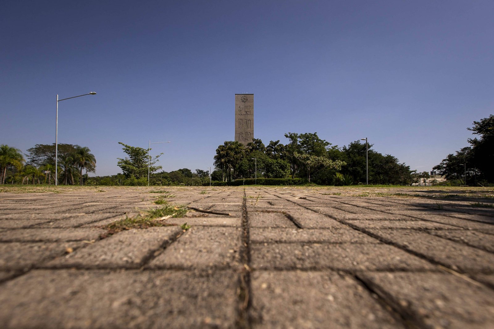 USP volta a ficar entre as 200 melhores do mundo - 09/10/2024 - Educação