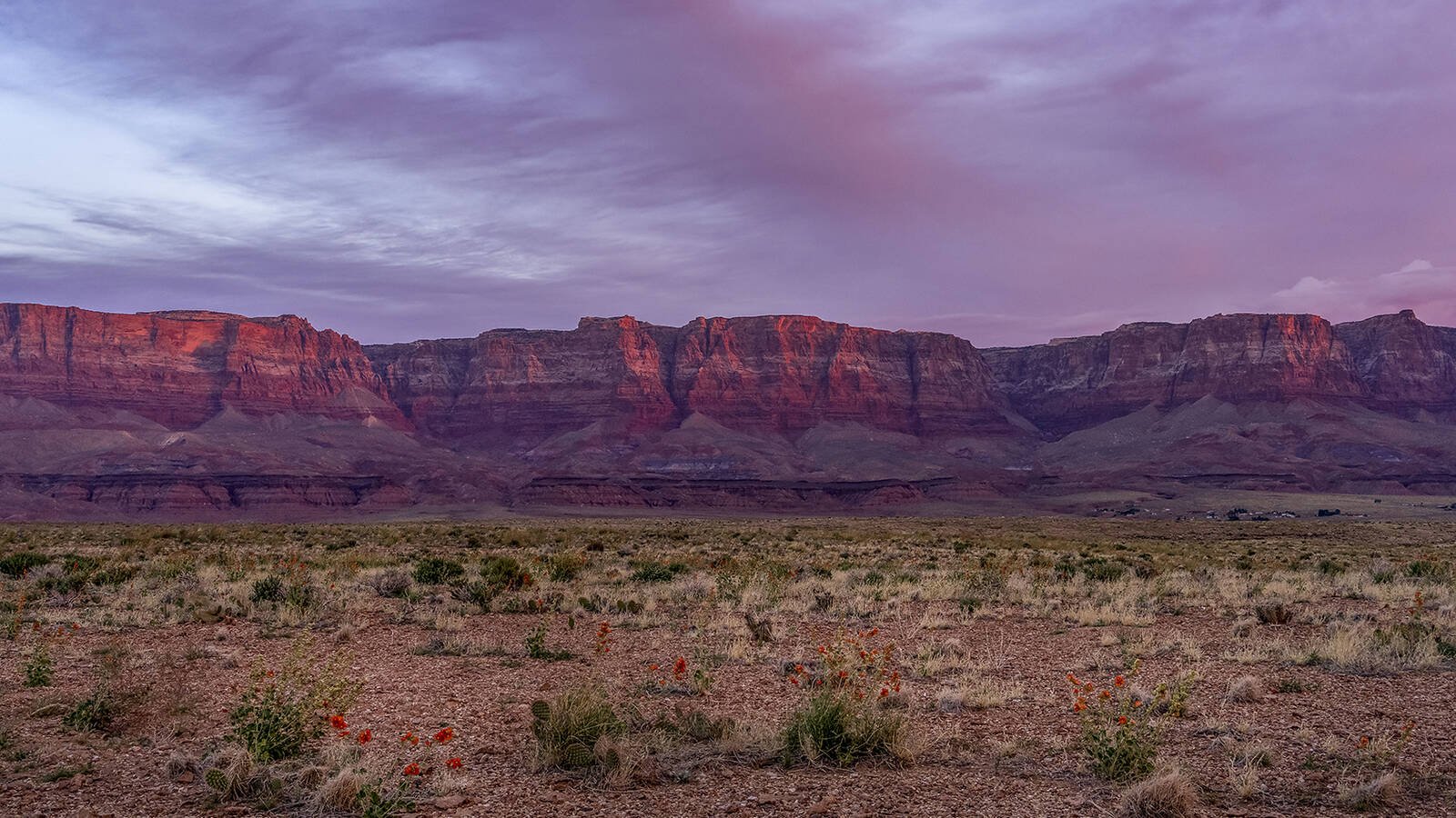 Why Do We Need Mining Law Reform? Just Look to Grand Canyon’s Pinyon Plain Mine. · National Parks Conservation Association