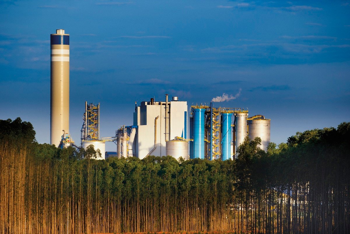 ótimo fluxo de caixa e possível expansão nos EUA; as boas notícias para SUZB3