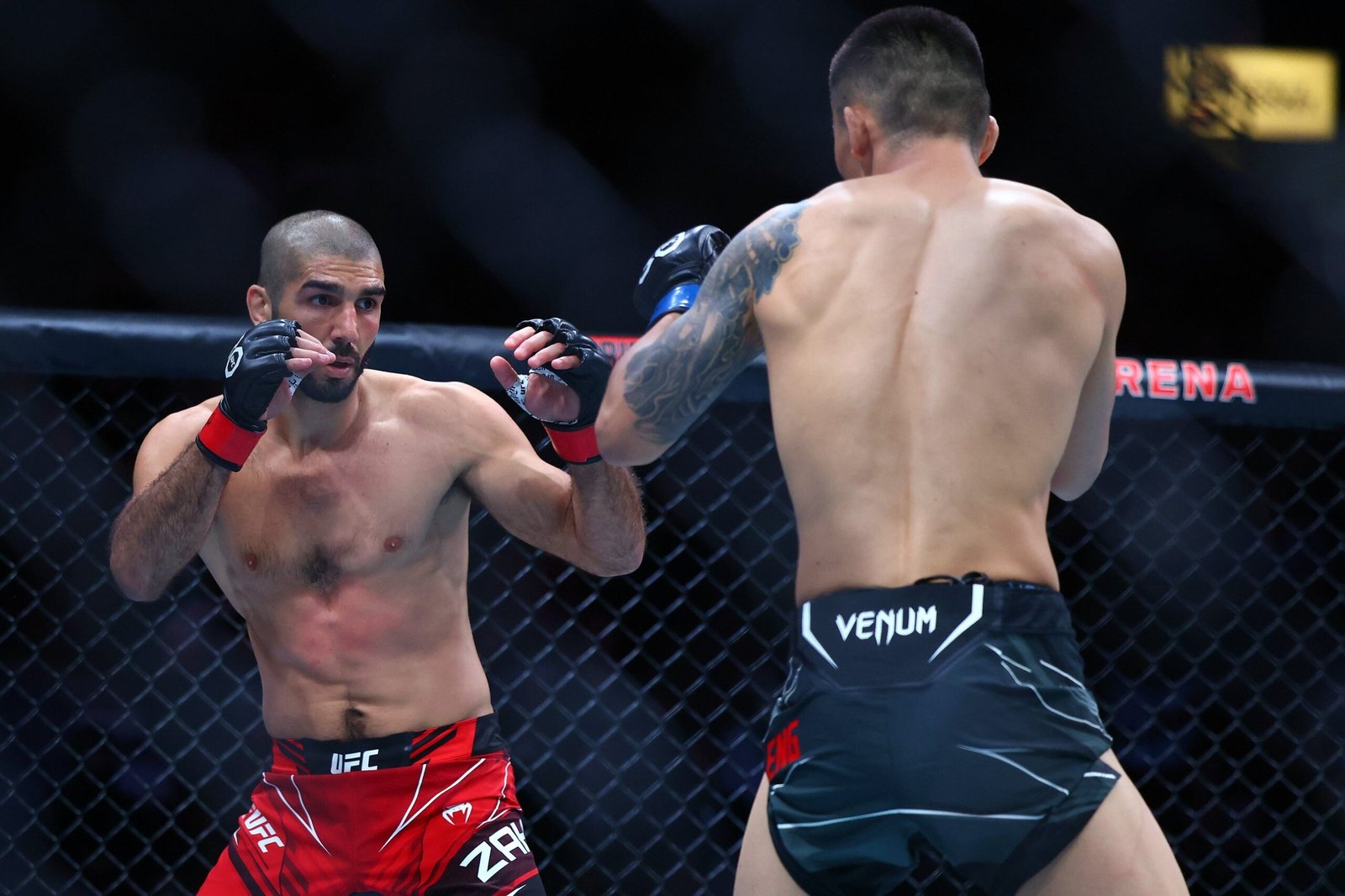 ufc picks Aiemann Zahabi ufc predictions best bet odds