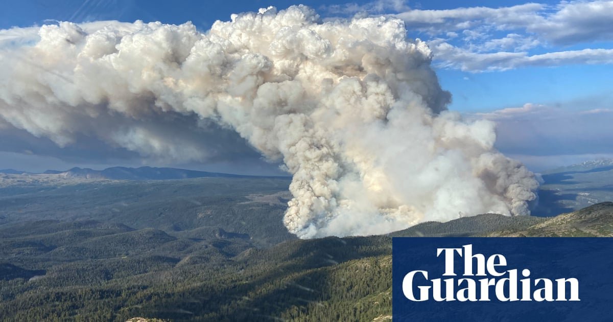 'Dois lados da mesma moeda': governos sublinham ligações entre clima e colapso da natureza | Cop16
