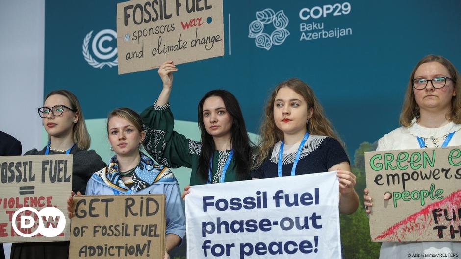 Especialistas pedem reforma no processo de ação climática – DW – 15/11/2024