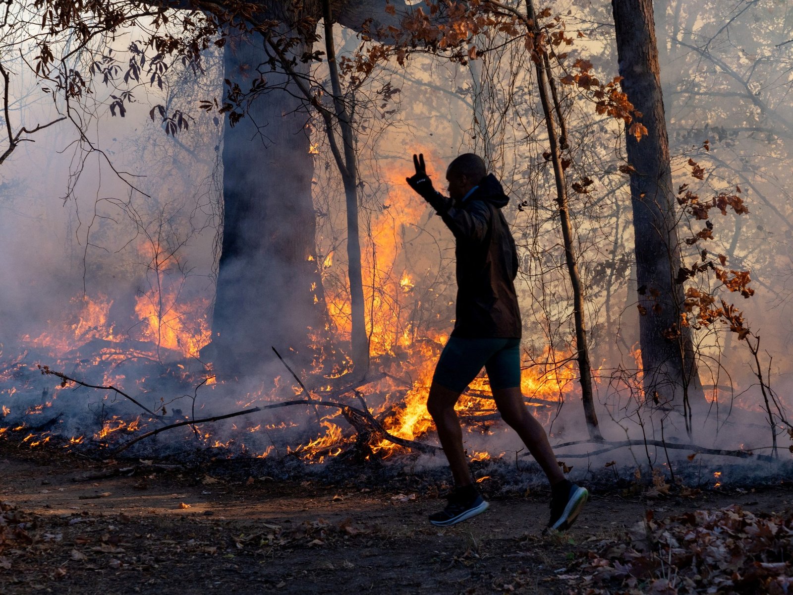 Incêndios florestais se espalharam em Nova York, Nova Jersey, gerando alertas de saúde | Notícias ambientais
