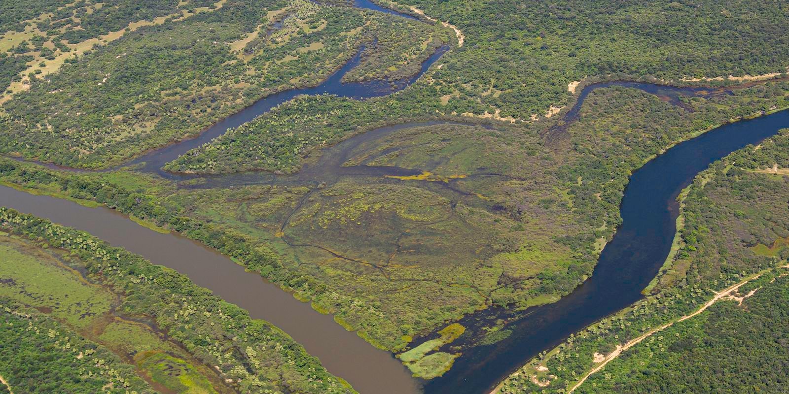 Maior parte da Mata Atlântica tem menos de 30% de vegetação nativa