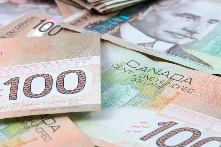 USD/CAD falls to near 1.3900 amid higher crude Oil prices, US election in focus