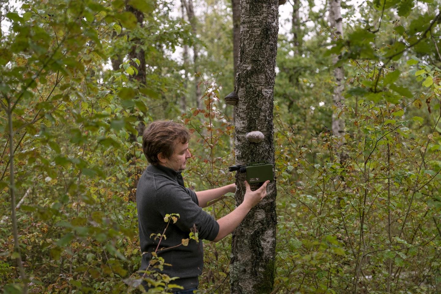 de Gâtinais ao Jura, microfones para melhor compreender a biodiversidade