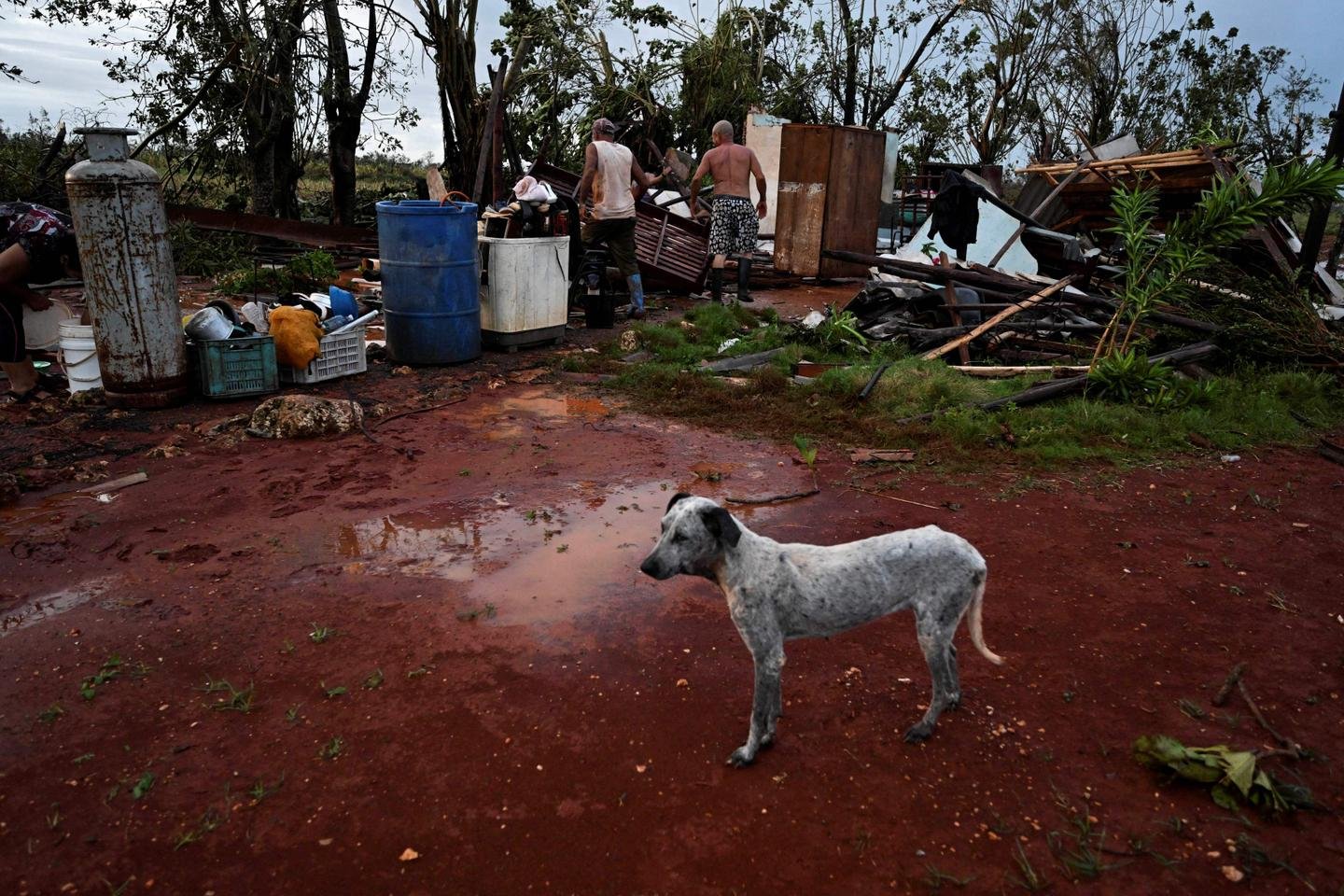 dois fortes tremores sentidos no domingo, as autoridades não estão emitindo um alerta de tsunami nesta fase
