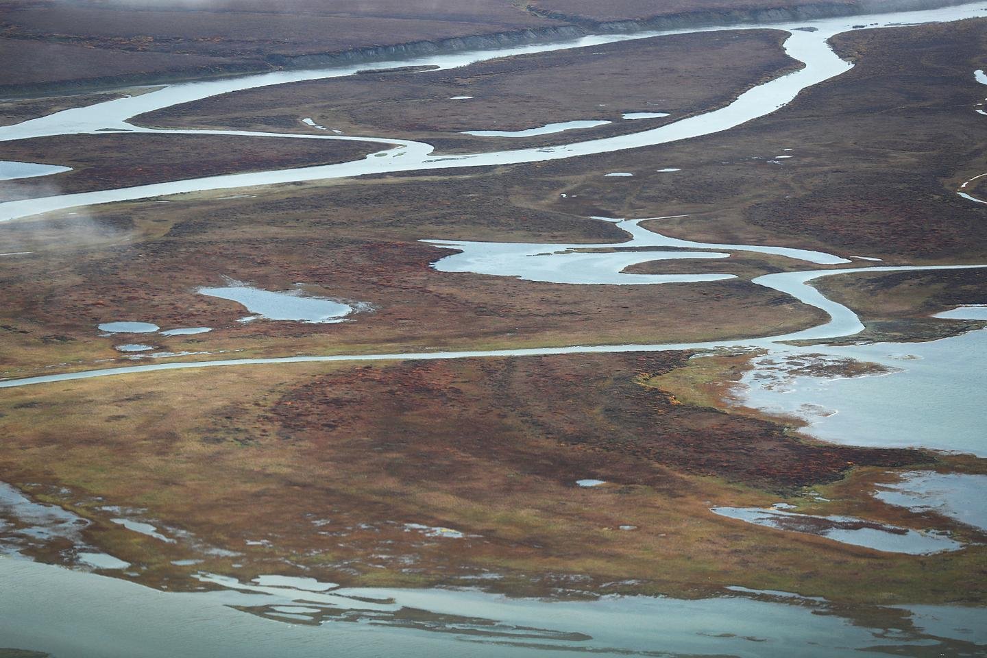 A tundra do Ártico agora emite mais CO₂ do que absorve