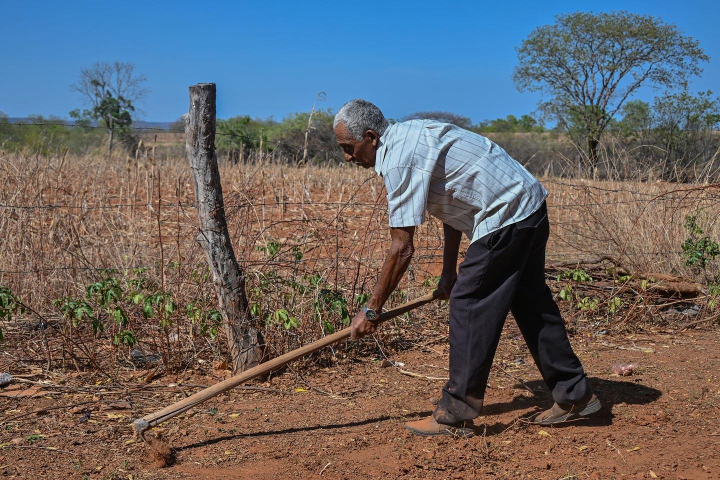 COP16 em Riade termina sem acordo vinculativo para combater a seca