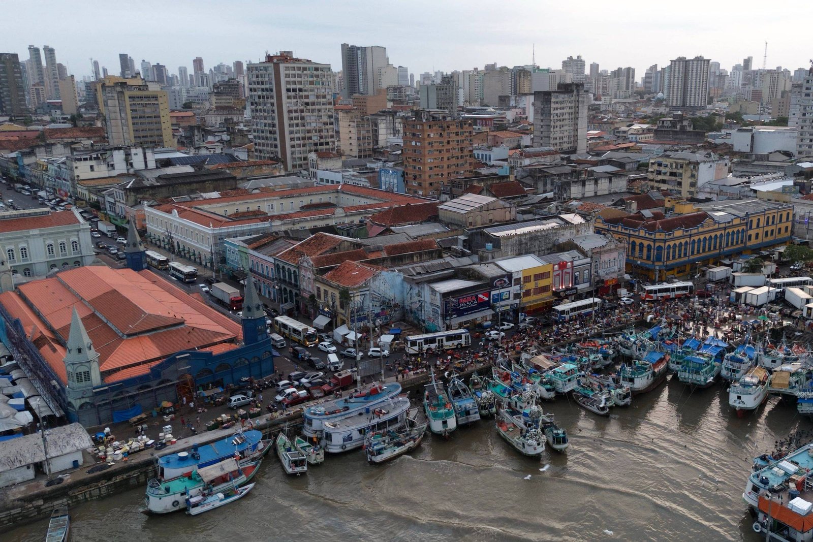 COP30: Cientistas, empresários e políticos lançam apoio - 13/12/2024 - Ambiente