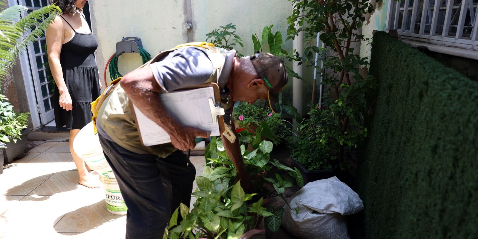 Dia D combate focos de mosquito da dengue em todo o país