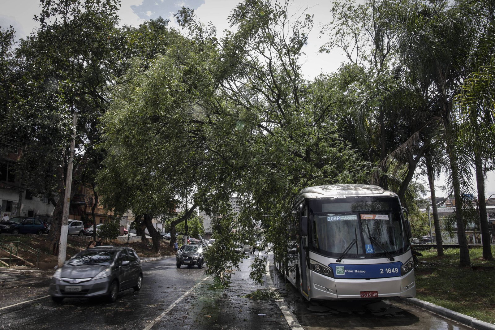 Para leitora, SP não pode reclamar de chuva e falta de luz - 21/12/2024 - Painel do Leitor