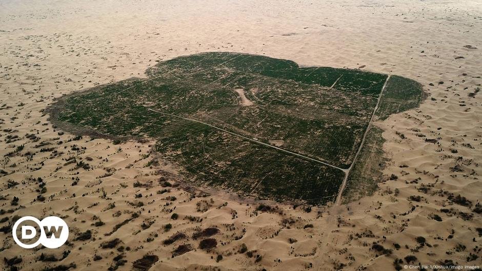 Por que terras férteis estão virando deserto – DW – 04/12/2024
