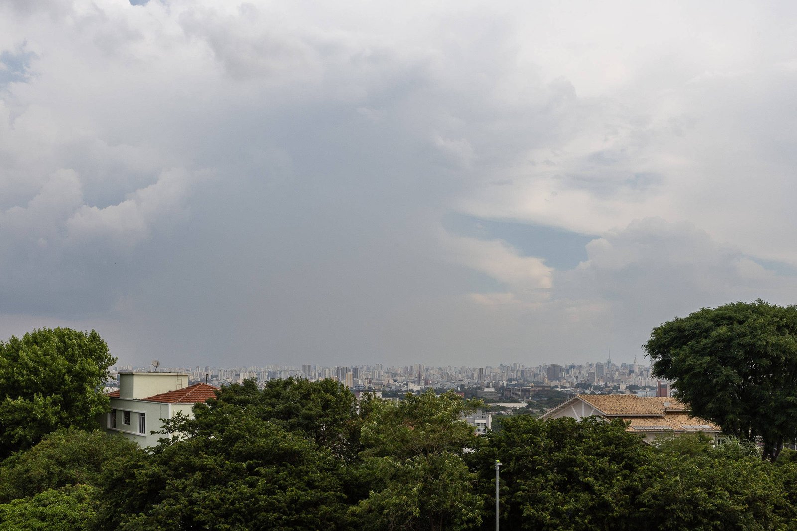 Previsão do tempo: SP deve ter quinta-feira (12) nublada - 12/12/2024 - Cotidiano