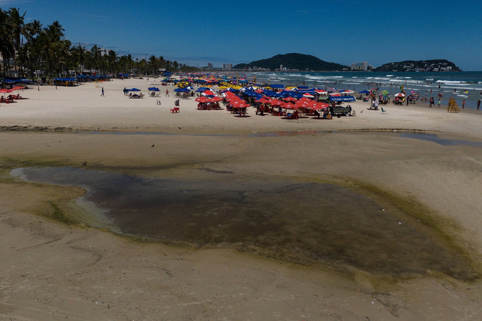 Guarujá e virose: banhistas aproveitam praia imprópria - 13/01/2025 - Cotidiano