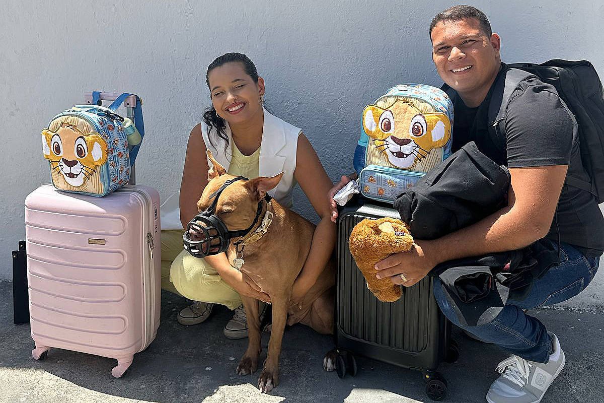 Cão com problema neurológico é vetado em voo de AL a SP - 19/02/2025 - Cotidiano