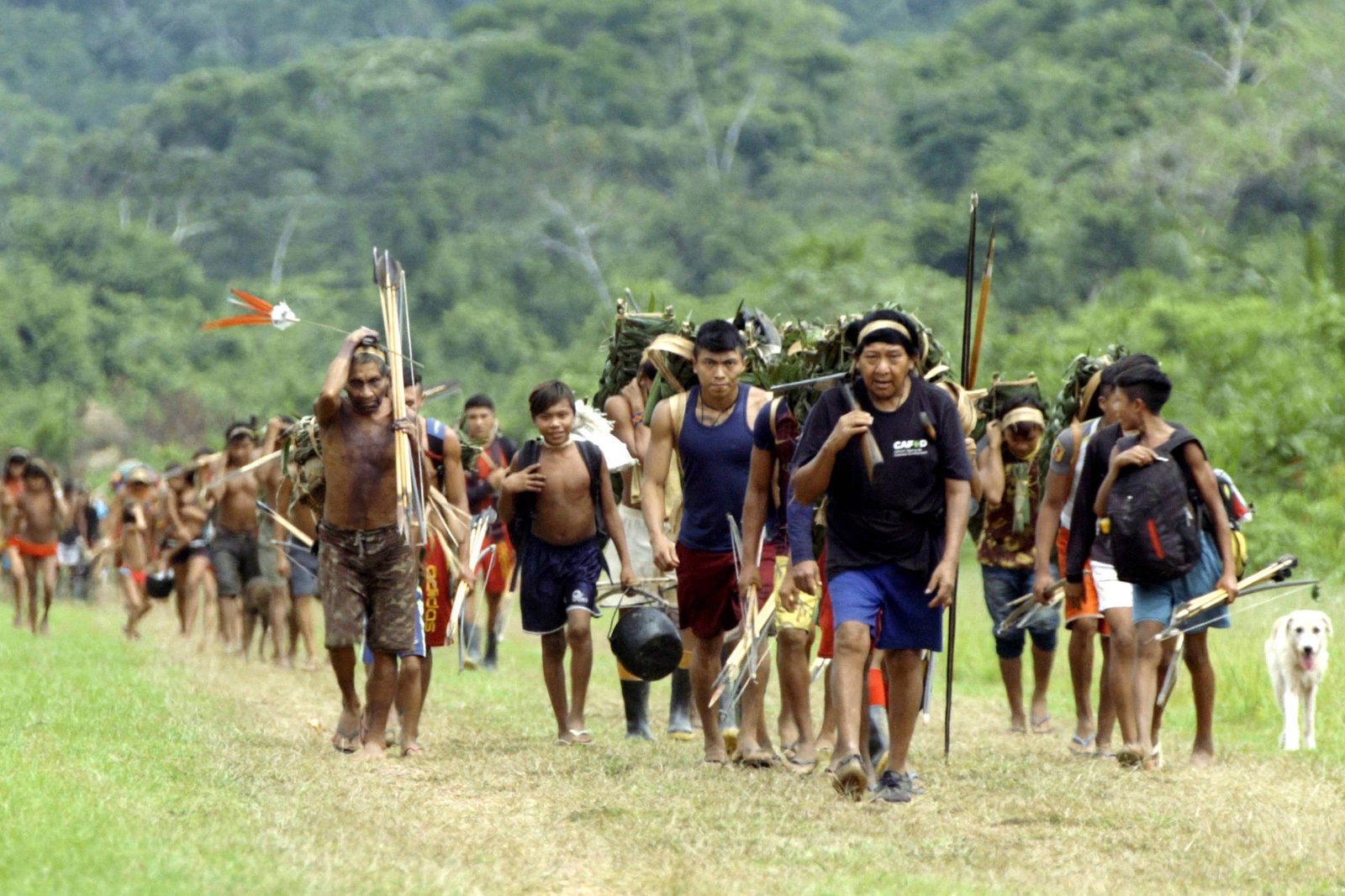 Documentário brasileiro sobre yanomamis estreia na França - 05/02/2025 - Ilustrada