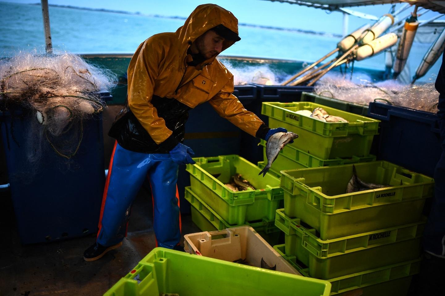 Reabrir a pesca no Golfo de Gascogne, após quatro semanas de parada