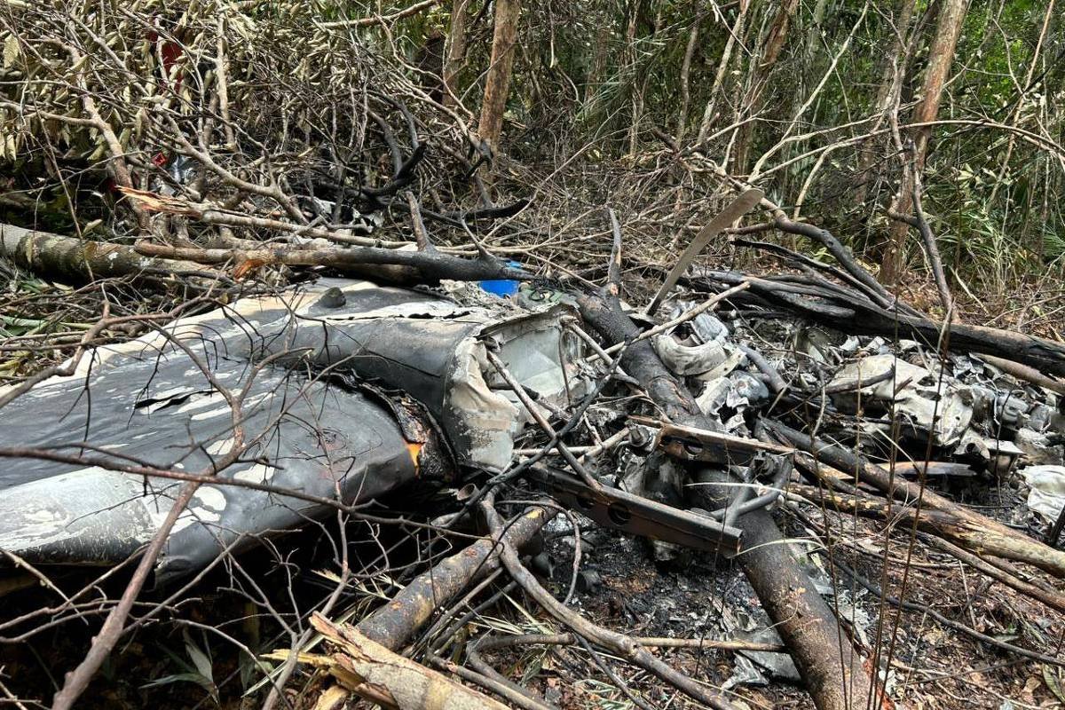 Tráfico de drogas: Avião é derrubado pela FAB na amazônia - 12/02/2025 - Cotidiano